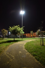Obraz premium Night Illuminated park by Night in the City