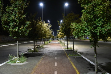 Night Bicycle Path illuminated by Lamps with Trees