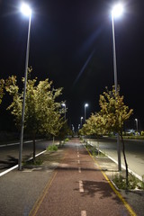 Night Bicycle Path illuminated by Lamps with Trees