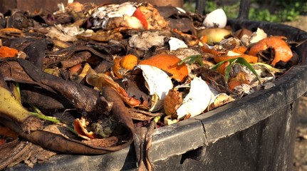 Home compost bin. Heap of wet organic matter known as green waste (leaves, food waste) and waiting...