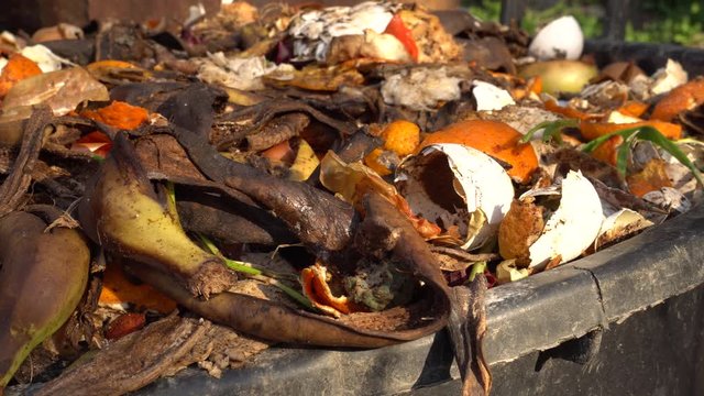 Home compost bin. Heap of wet organic matter known as green waste (leaves, food waste) and waiting for the materials to break down into humus