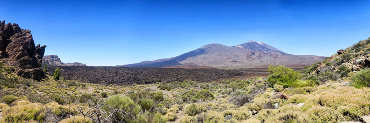 Parque nacional del Teide, Canary Islands, Spain. The road to the volcano Teide, beautiful landscape, vegetation, grass, bushes, the ground is covered in lava. After the eruption of the volcano. Luna