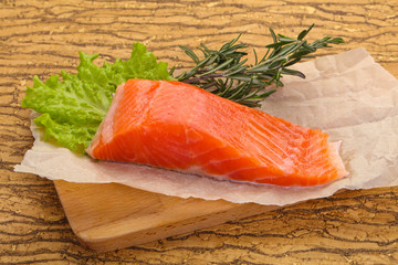 Piece of raw salmon