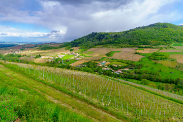 vineyards and countryside in Beaujolais, France