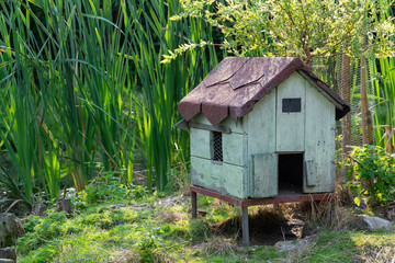 an decorative duck house in nature