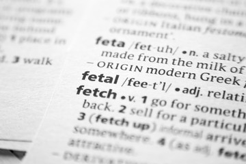 Fototapeta premium Word or phrase Fetal in a dictionary.