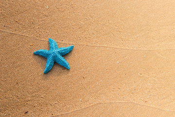 Summer Vacation Concept : Blue starfish model toy on sand beach. (Selective focus)