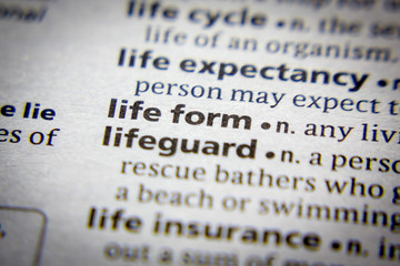 Word or phrase Life form in a dictionary.