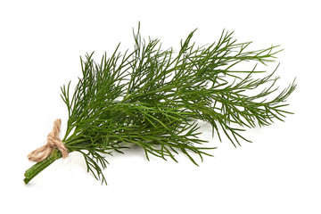 Fresh dill, isolated on white background