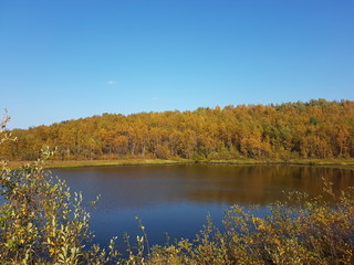 autumn landscape with lake and trees