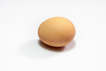 chicken egg