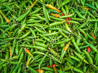 Top view green chilli background texture