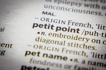 Word or phrase Petit point in a dictionary.