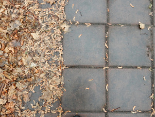 autumn tiled wet alley in the park