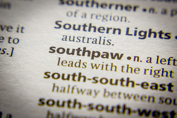 Word or phrase Southpaw in a dictionary.
