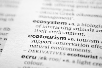 Fototapeta premium Word or phrase Ecotourism in a dictionary.