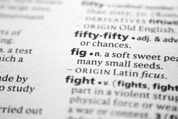 Word or phrase Fig in a dictionary.
