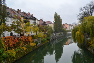 Fototapeta na wymiar River in Ljubljana