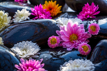 Black stones and flowers