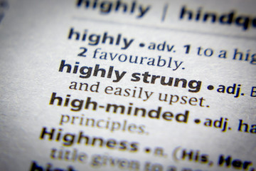 Word or phrase Highly strung in a dictionary.
