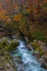Fototapeta na wymiar Vintgar gorge in Slovenia