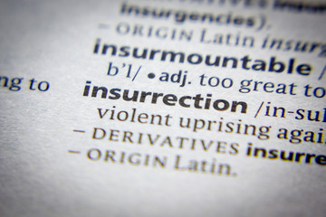 Word or phrase Insurrection in a dictionary.