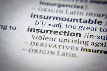 Word or phrase Insurrection in a dictionary.