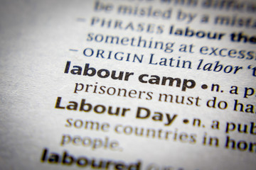 Word or phrase Labour camp in a dictionary.