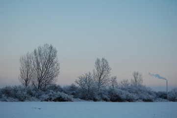 winter landscape with trees and blue sky