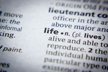 Obraz premium Word or phrase Life in a dictionary.