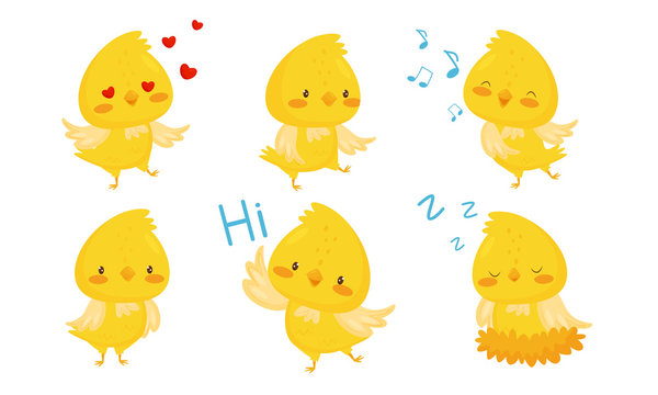 Cute Chicken Cartoon Chracters, Emotional Funny Bird in Different Situations Vector Illustration