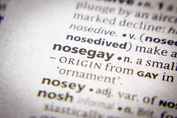 Word or phrase Nosegay in a dictionary.