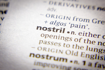 Word or phrase Nostril in a dictionary.