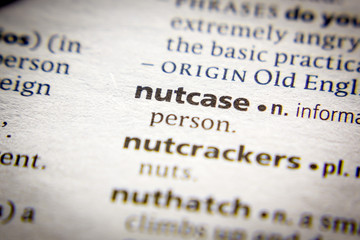 Word or phrase Nutcase in a dictionary.