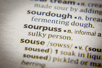 Word or phrase Sourpuss in a dictionary.