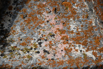 abstract grunge background on an ancient stone