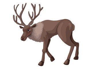 Forest animal deer. Vector cartoon style illustration