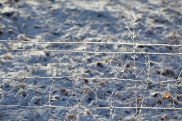 verschneiter, gefrorener Maschendrahtzaun, Deutschland