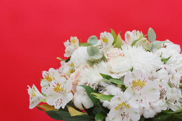 Large white bouquet of chrysanthemums, cotton on a red background. St Valentines Day