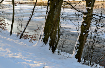 Carte postale de paysage d'hiver sous la neige