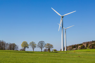 wind turbines in green field