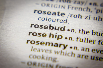 Word or phrase Rosebud in a dictionary.
