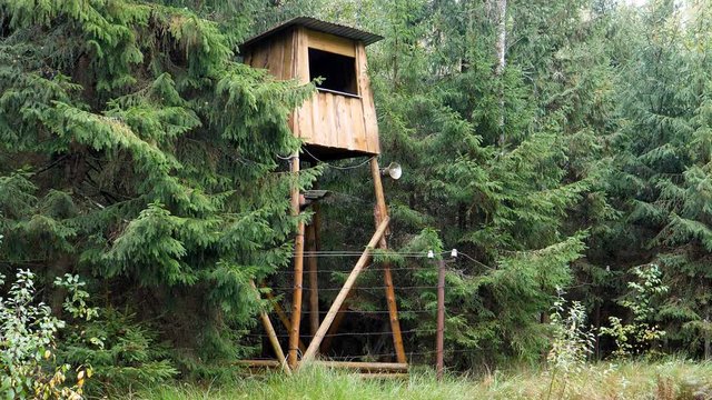 Guard tower with security camera and loudspeaker by the barbed and live wire fence in the forest.
