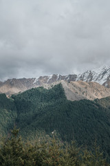 Amazing view from Queenstown hills with snow capped mountains and pine forest.