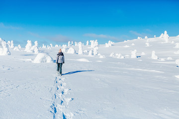Woman hiking with backpack and snowshoes on snow trail. Snowshoeing in Finland Lapland.