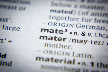 Word or phrase Mate in a dictionary.