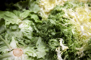 Greengrocer lettuce