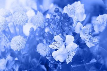 Wild flowers  background, low key dark photo, classic blue trend color