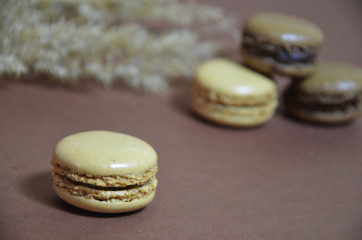 Colourful tasty macaroons in a row. macaroons of different colors on a brown background