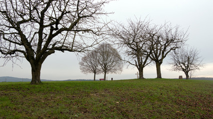 autumnal mood in the countryside